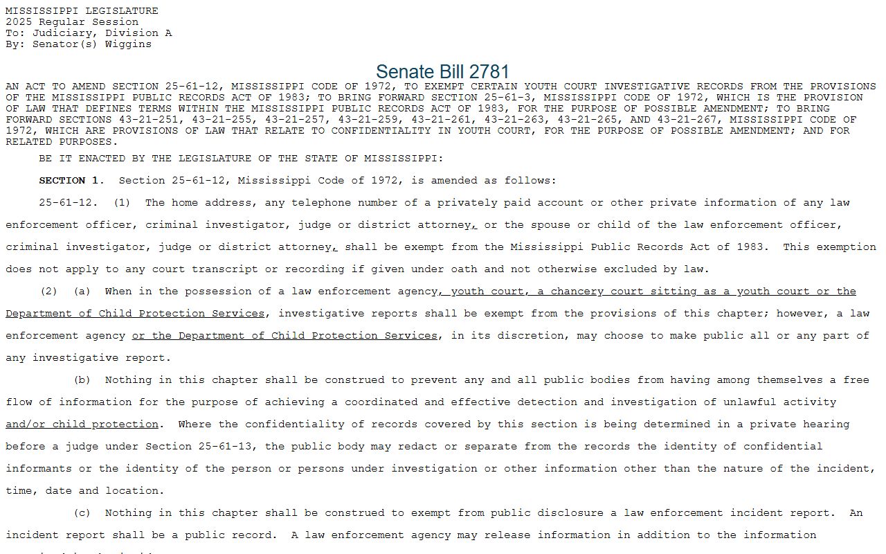 Lee County Circuit Court and Youth Court confidentiality language for restricted records